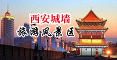 黑人春药插进子宫中国陕西-西安城墙旅游风景区